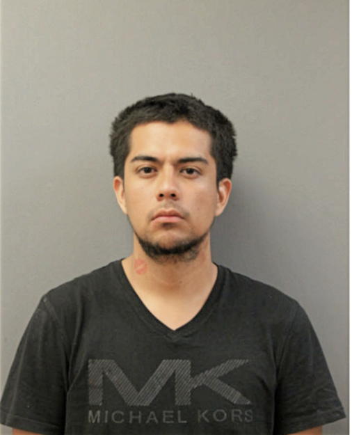 CHRISTIAN TLAZOLA-GLAVAN, Cook County, Illinois