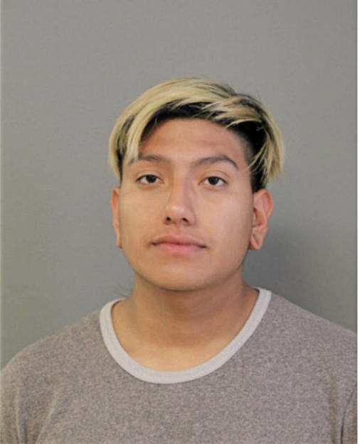 MICHAEL VALDEZ, Cook County, Illinois