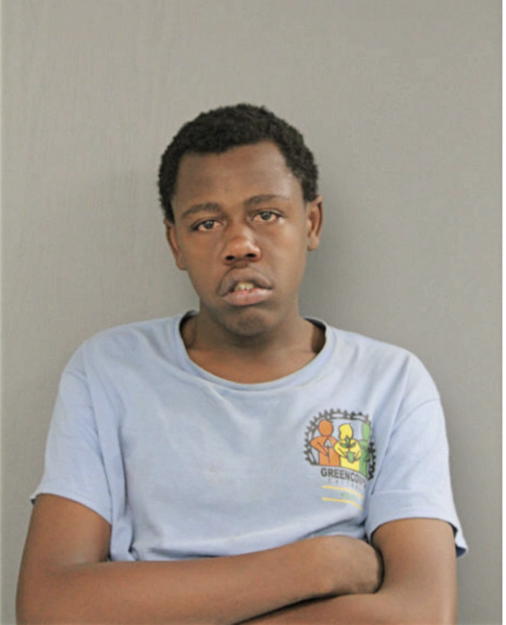 DARYL G CUNNINGHAM, Cook County, Illinois