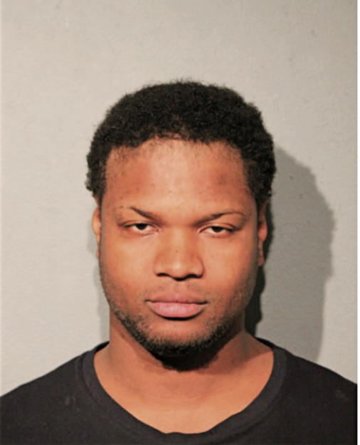 BRIAN D BROWN, Cook County, Illinois