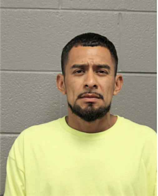 JOSE E VARGAS, Cook County, Illinois