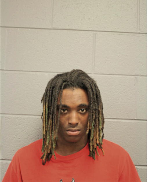 NATHAN EMERSON, Cook County, Illinois