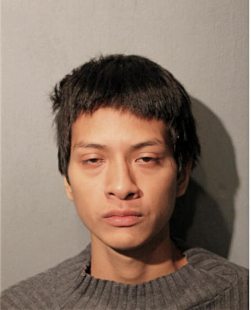 ERIK TOLAYO FLORES, Cook County, Illinois