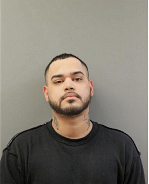 ALEXANDER J GARCIA, Cook County, Illinois