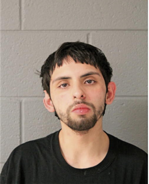 GUILLERMO P GARCIA, Cook County, Illinois