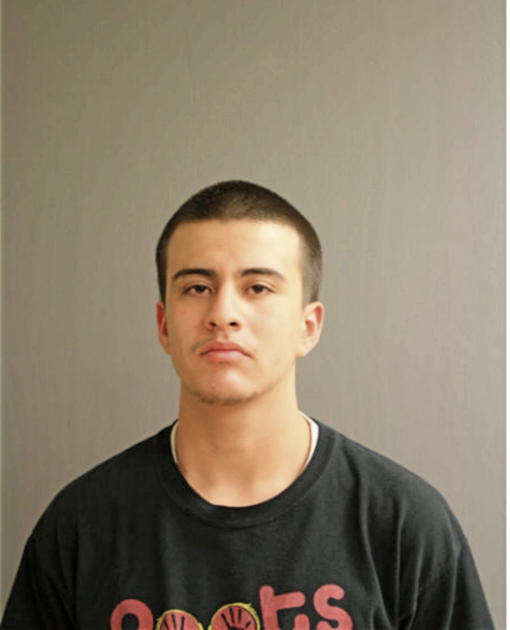 ALEXANDER GONZALEZ, Cook County, Illinois
