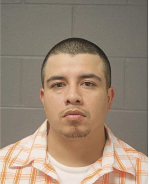 AMILKAR I GONZALEZ, Cook County, Illinois