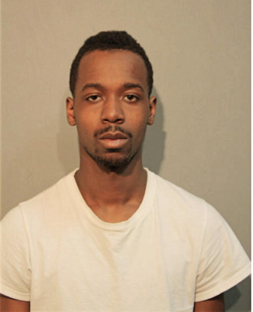 CHRISTOPHER D HAMILTON, Cook County, Illinois