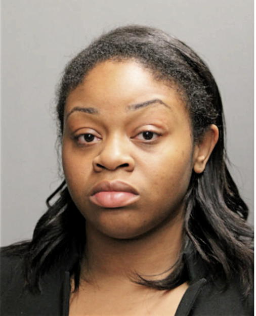 ERICA L JOHNSON, Cook County, Illinois