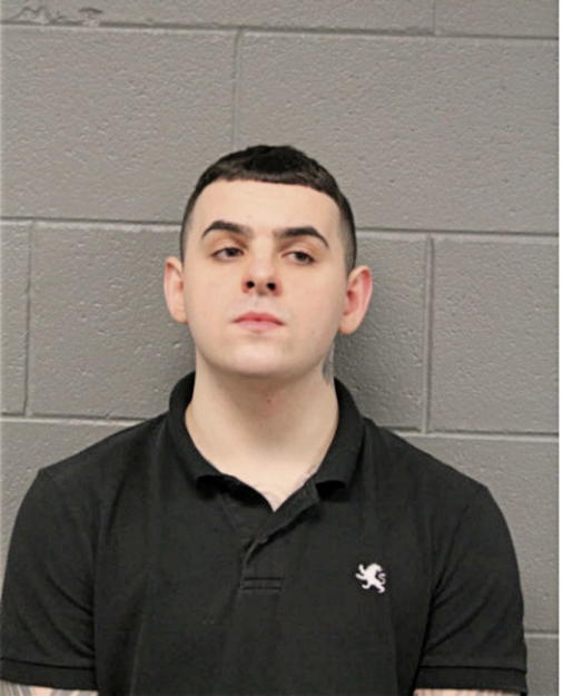 LUKASZ KOZIENSKA, Cook County, Illinois