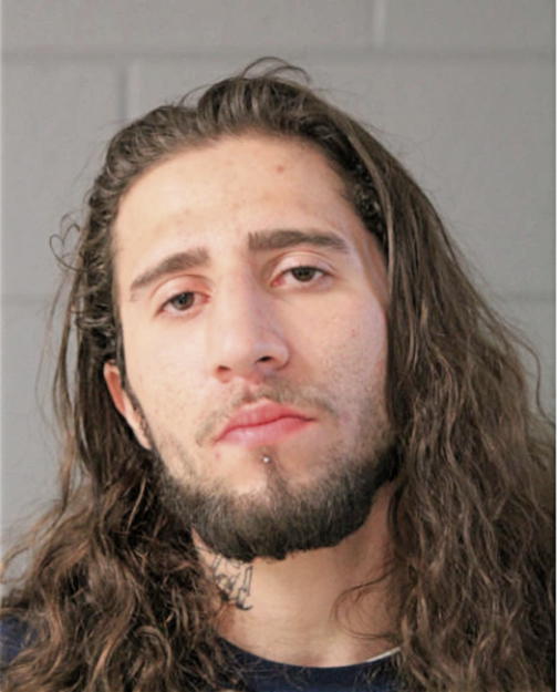JUAN L ALICEA, Cook County, Illinois