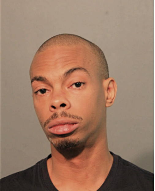 CHRISTOPHER S LAGRONE, Cook County, Illinois