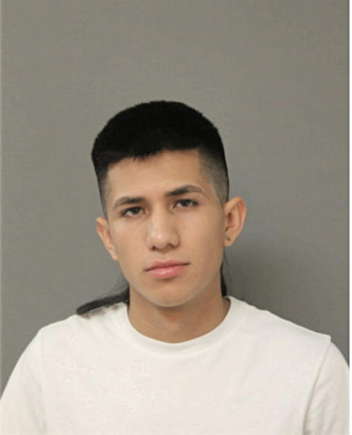 NOE MARTINEZ, Cook County, Illinois