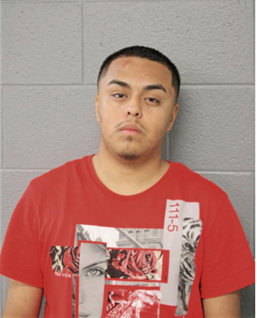 JOSE MEDINA, Cook County, Illinois