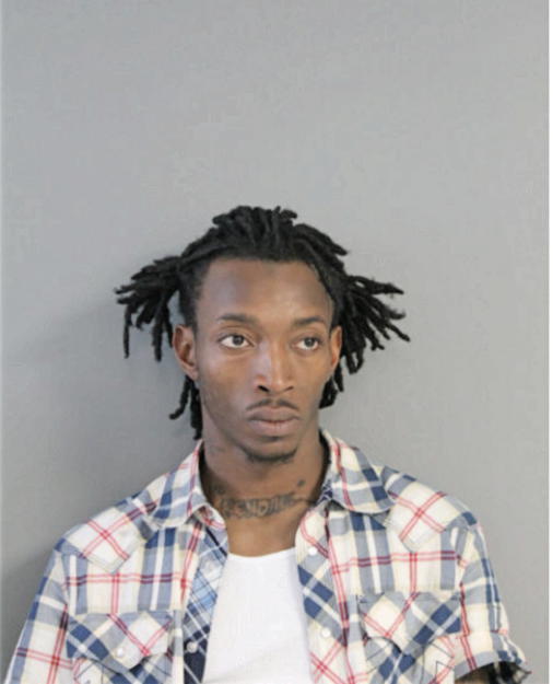 KENNETH J NEAL, Cook County, Illinois