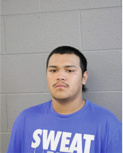SAMUEL N PEREZ, Cook County, Illinois
