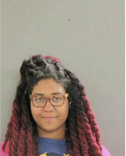 LAUREN M ROWLAND, Cook County, Illinois