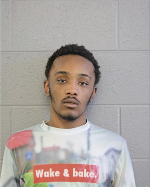 JEREMY S WALLACE, Cook County, Illinois