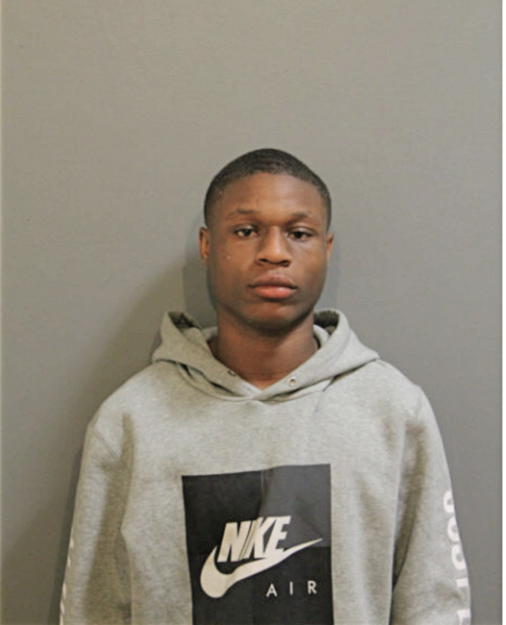 SAIYUK L WILLIS, Cook County, Illinois