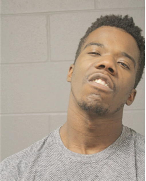 RAPHAEL YOUNG, Cook County, Illinois
