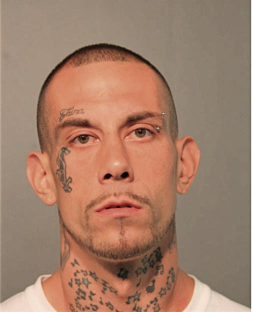 SALVADOR ZAYAS, Cook County, Illinois