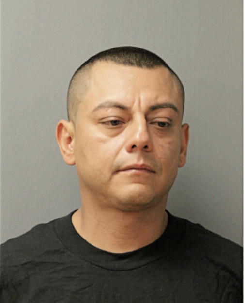 JOSUE ARENA, Cook County, Illinois