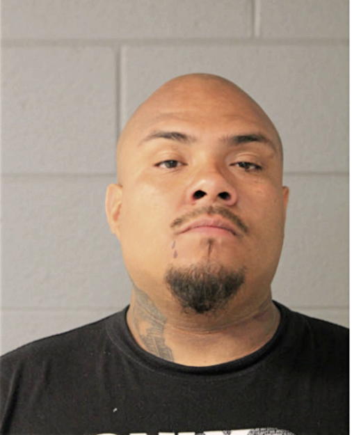 JOSE C ARRIAGA, Cook County, Illinois