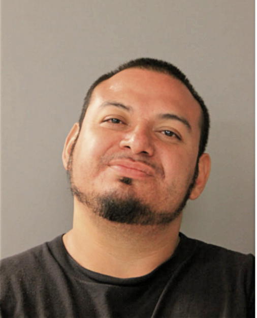 SANTIAGO AVALOS, Cook County, Illinois