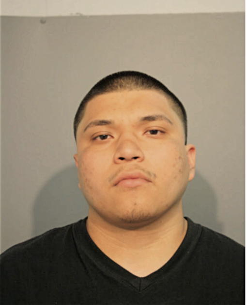 HECTOR M AVILA, Cook County, Illinois
