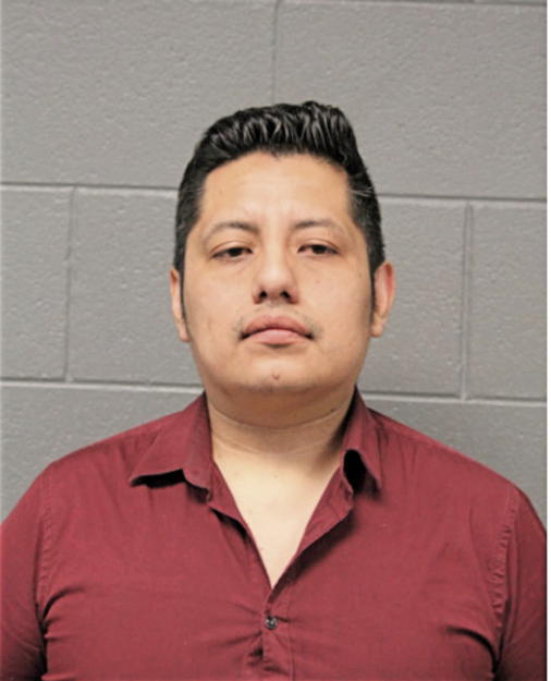 CHRISTIAN A BECERRIL-FRAGOSO, Cook County, Illinois