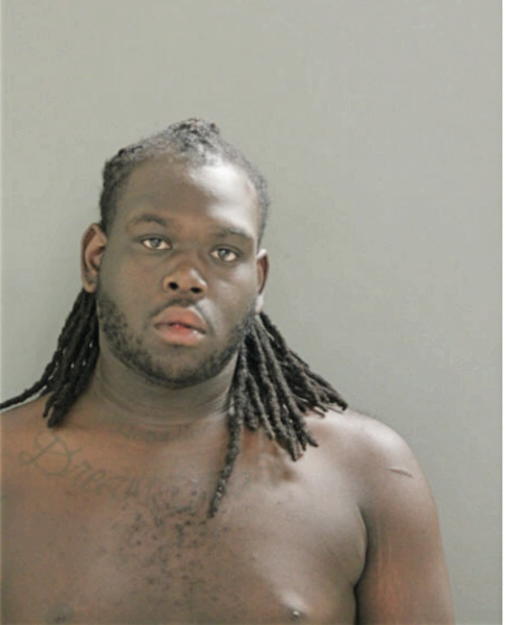 SHAWN J BROWN, Cook County, Illinois