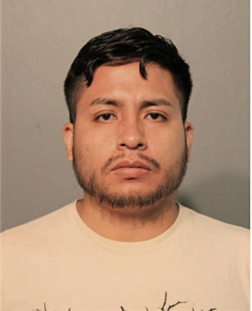 CARLOS E BUESTAN, Cook County, Illinois