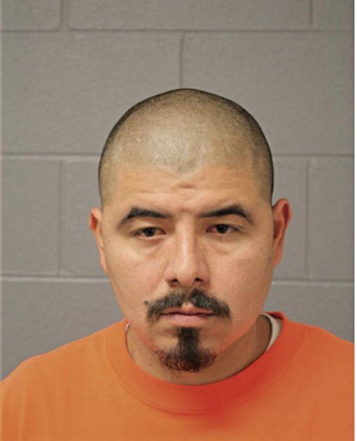 AZAEL CASTANEDA, Cook County, Illinois