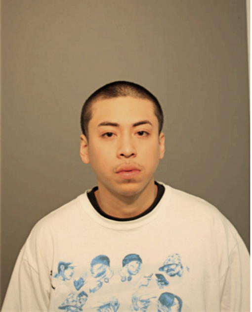 MIGUEL A CASTILLO, Cook County, Illinois