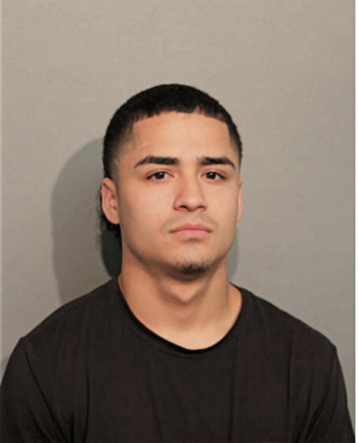 DAVID A COLON, Cook County, Illinois