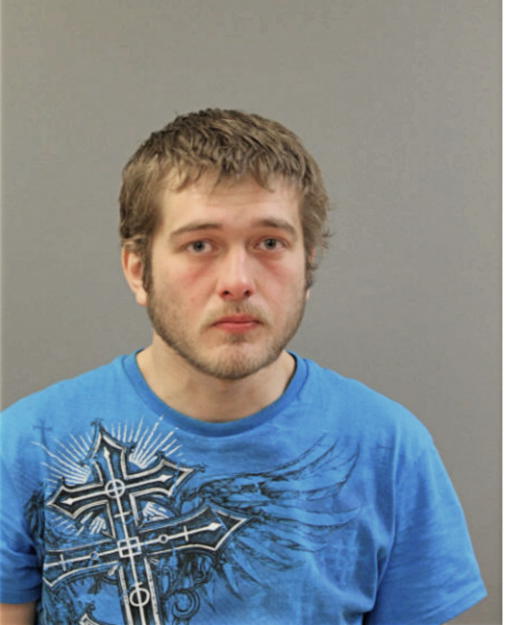 RYAN J DEAR, Cook County, Illinois
