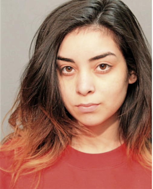 SABRINA M DOMINGUEZ, Cook County, Illinois