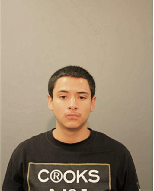 BRYAN D FERREYRA, Cook County, Illinois