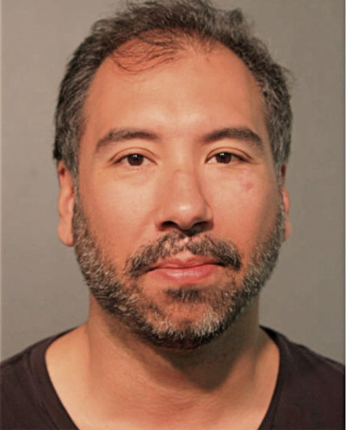 JOHN W FLEMING, Cook County, Illinois