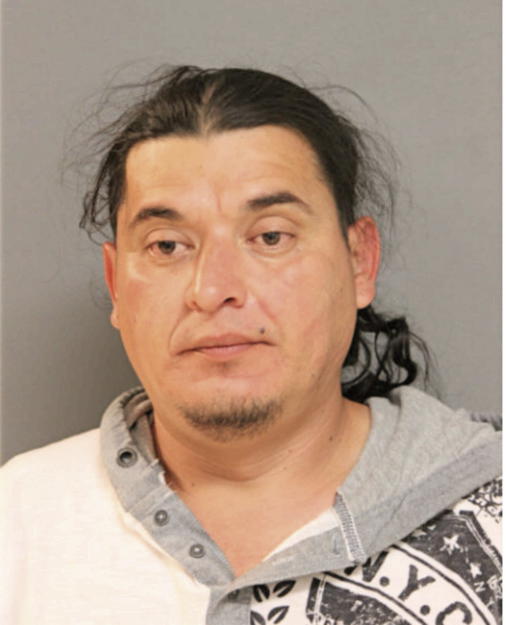 YONI DAVID FONSECA, Cook County, Illinois