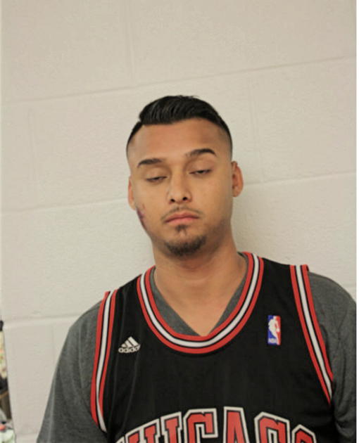 DANIEL GONZALEZ, Cook County, Illinois
