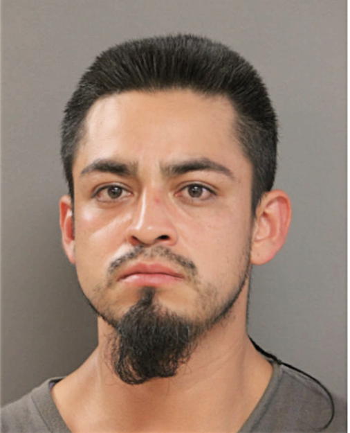 JUAN C GONZALEZ, Cook County, Illinois