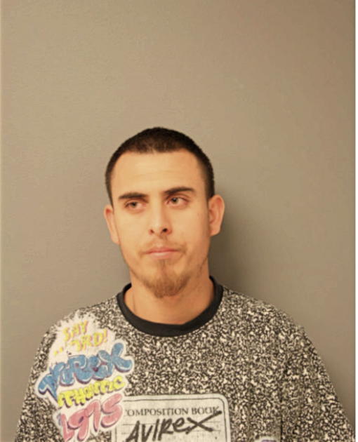 TEODORO GONZALEZ, Cook County, Illinois