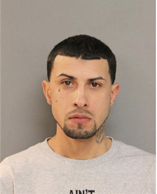 NOEL HERNANDEZ-MEDINA, Cook County, Illinois