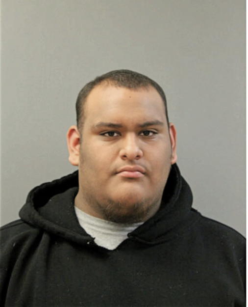 SERGIO A HERNANDEZ, Cook County, Illinois