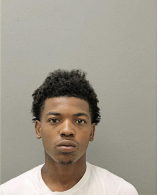 ROBERT C INGRAM, Cook County, Illinois