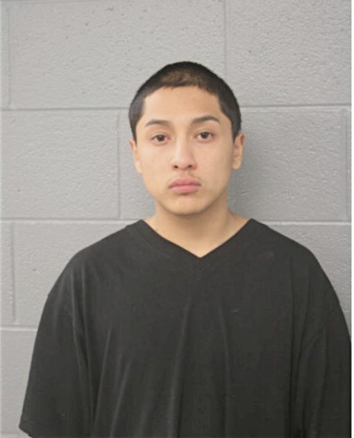 PABLO DE LEON TORREZ, Cook County, Illinois