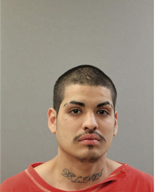 SANTIAGO LEON, Cook County, Illinois