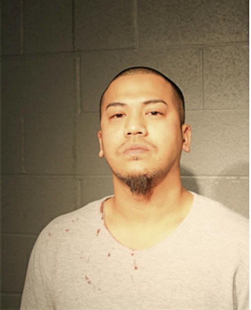 DAVIS MAHAKHOUANVONG, Cook County, Illinois