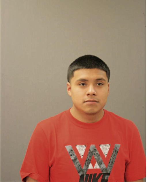 ALFREDO MEDINA, Cook County, Illinois
